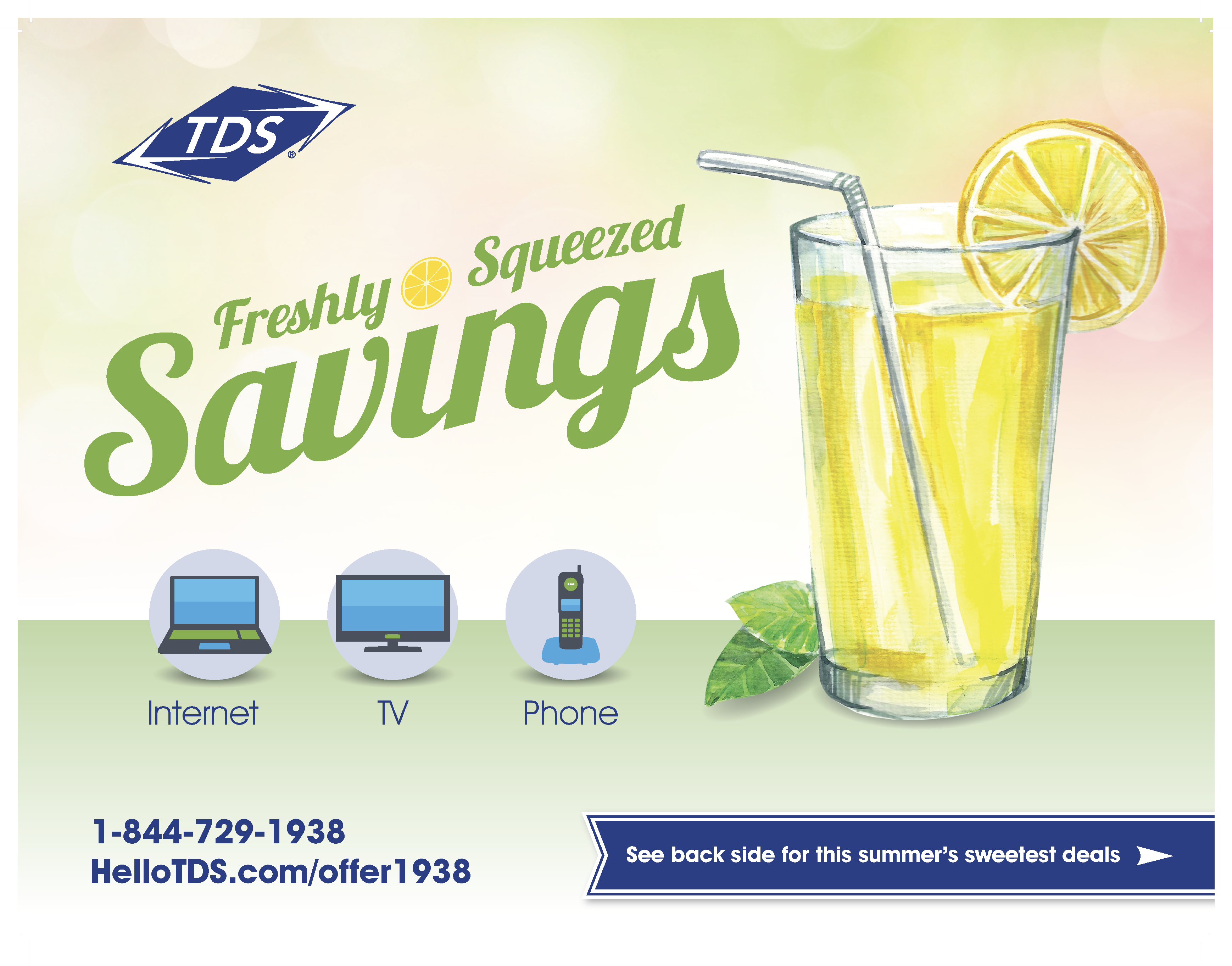 TDS Spectrum FSI_Page_1